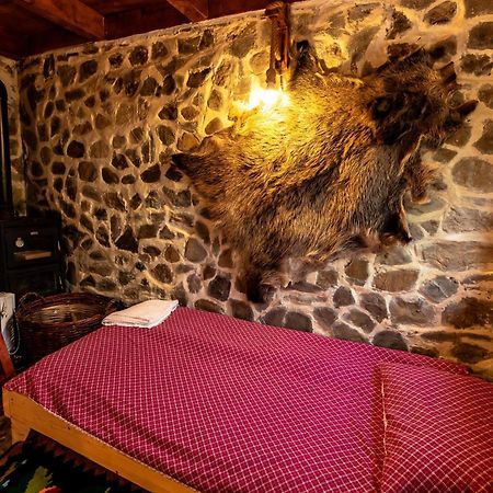 Catunu’ lui Emil Villa Carbunesti Exterior foto