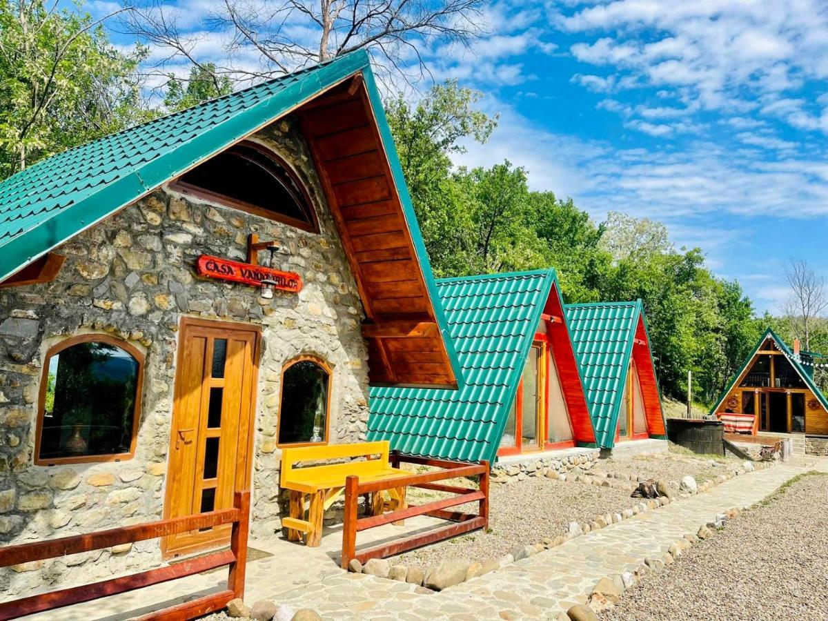 Catunu’ lui Emil Villa Carbunesti Exterior foto